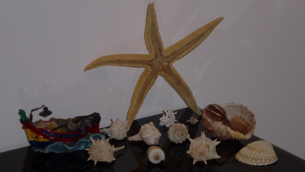 Appartement Sea Star à Cefalù Chambre photo